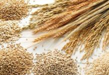 Хлеб цельнозерновой: какой состав, рецепты этого изделия Как испечь зерновой хлеб в домашних условиях
